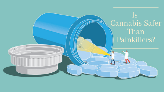 Cannabis could be a safer alternative to Painkiller
